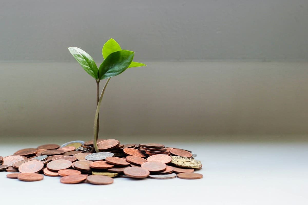 A small green plant growing out of a pile of copper coins