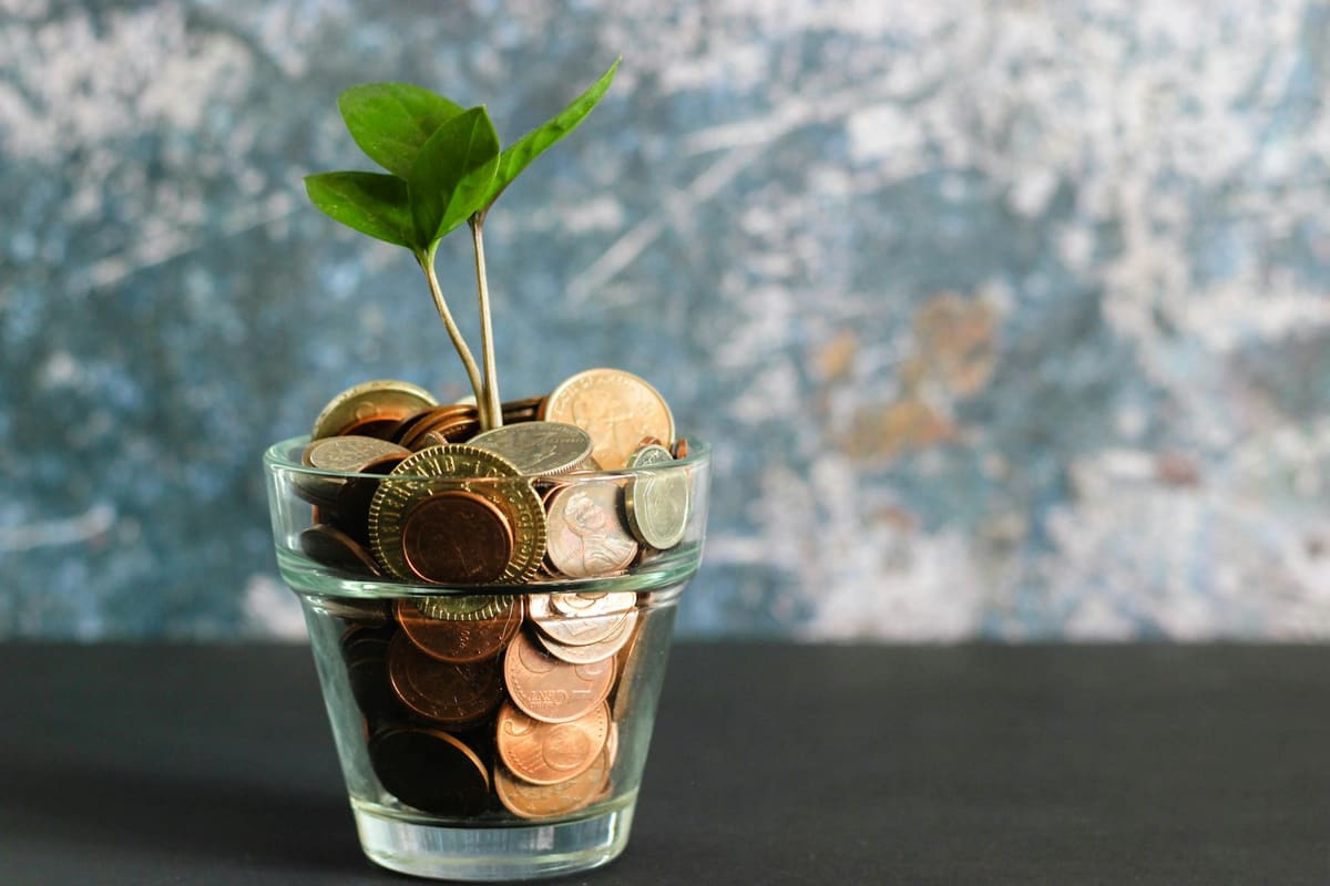 A small green plant growing out of a glass jar full of coins